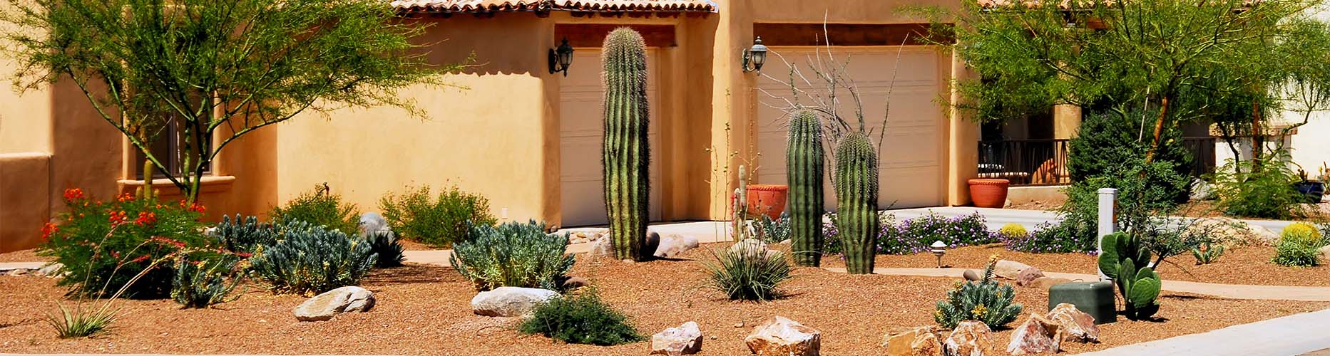 Desert homefront with cacti in front of house